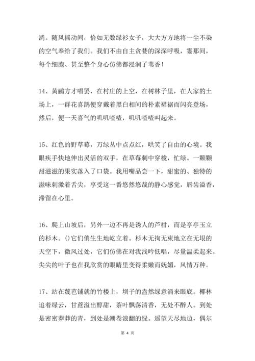《风景·美丽的自然》

