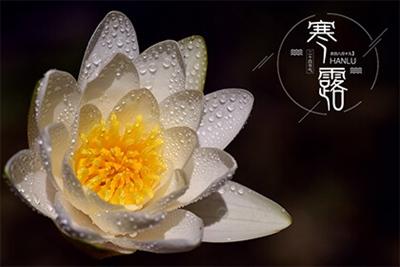 唯美句子，美丽诗意，用文字穿越时空感受寒露节气的美丽
