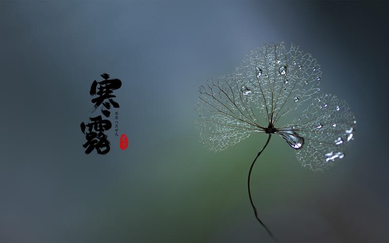唯美句子，美丽诗意，用文字穿越时空感受寒露节气的美丽
