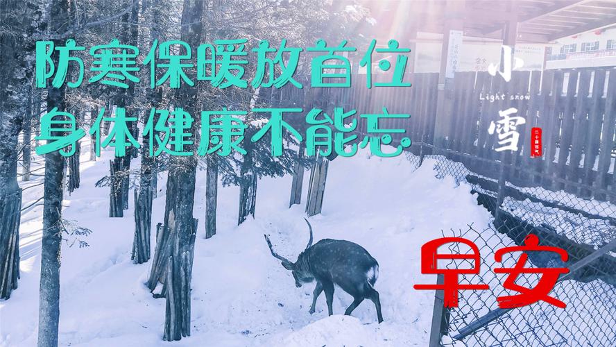 小雪祝福语：心中的炽热，化成了一片雪花，祝愿你们幸福快乐！

