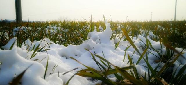 冬日白雪纷飞，小雪节气大盘点（25个谚语，带你了解小雪养生之道）

