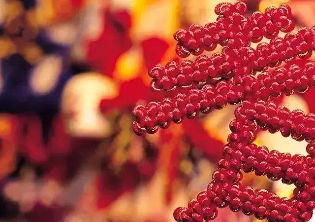 小年祝福语创意篇（25句祝福话让你心怀温暖）
