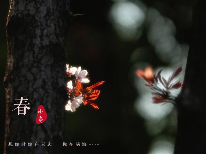 2023年三月，与春天亲密接触
