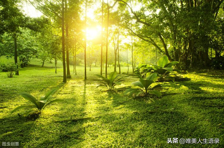 相遇的唯美句子经典——在时光的流转中相遇（一个个瞬间闪现的故事）
