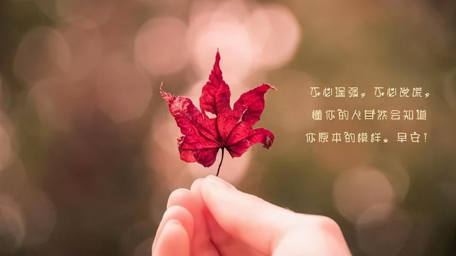 唯美相识——那些如诗如画的瞬间
