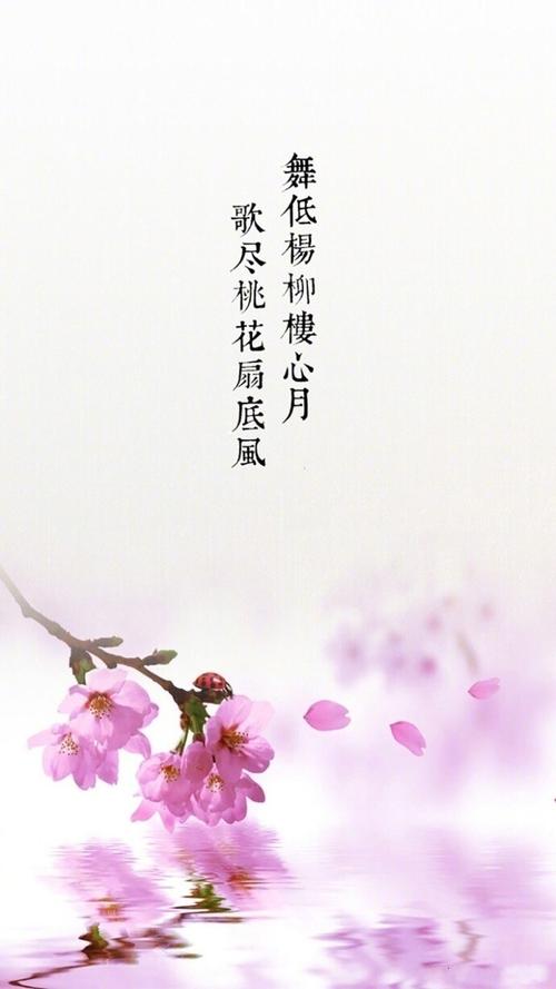 唯美相识——那些如诗如画的瞬间
