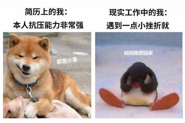 用搞笑句子娓娓道来
