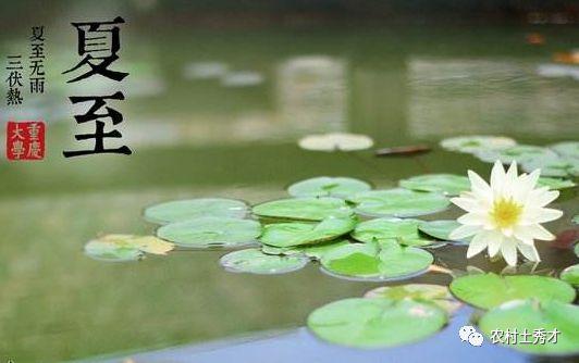 感人说说（炎热而温馨的夏至）

