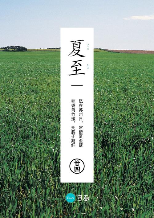 夏至节气感人留言114条——唯美短句，感悟生命之美（阳光、生命、感恩、未来、希望）
