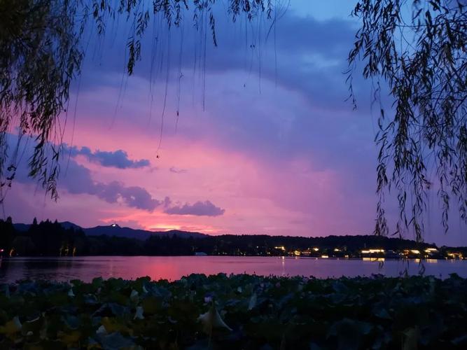 夏日美景句子经典

