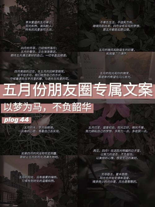五月花开（缤纷多彩）

