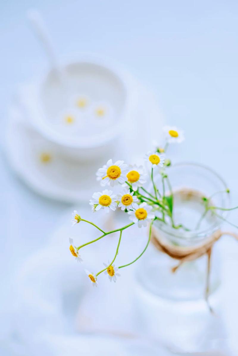 五月花开（缤纷多彩）
