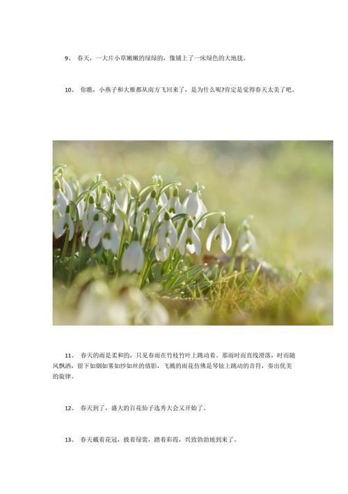 芳华如水，唯美短句（25句古风唯美句子欣赏）
