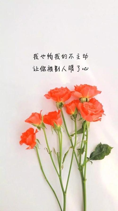 缱绻唯美，执念伤感（以短句诉说情感）
