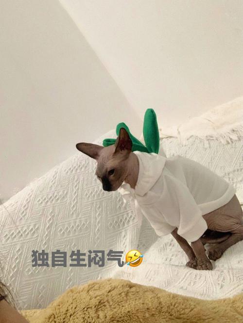 我真生气了！
