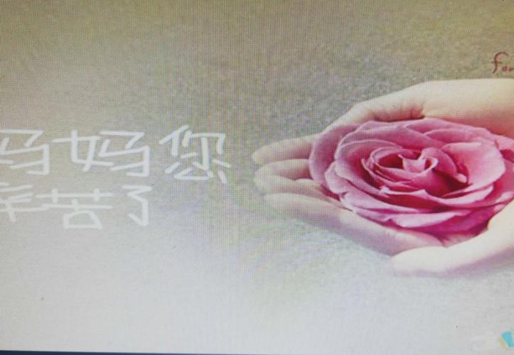 我家的妈妈——感恩之源（她用心呵护着这个家，让我们感受到了真正的爱和关怀）
