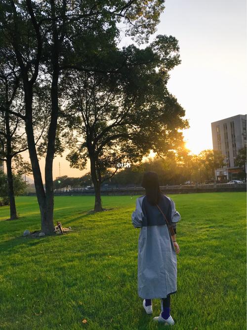 阳光下的草坪、阳光下的心情
