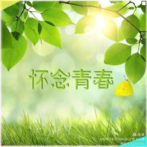 有关我们逝去的青春的作文题目（《年轻人的成长故事
》）