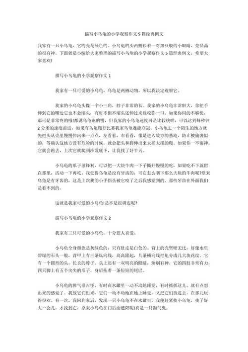 有关观察可爱的小乌龟的作文三年级（《乌龟的旅程》）