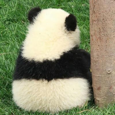 有关可爱的大熊猫的作文300字（《萌趣大熊猫的故事》）
