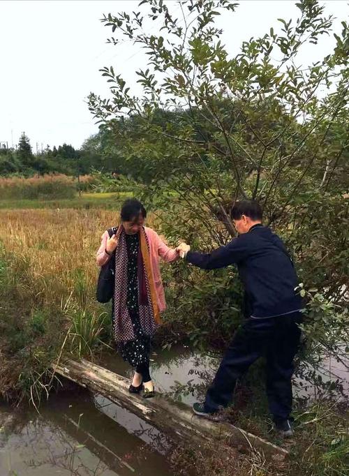 尝到了后悔的滋味作文（《尝到后悔的滋味》）