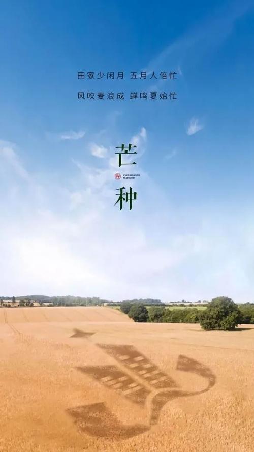 2021芒种说说经典好听（探寻2023年最新芒种带来的诗意生活
）