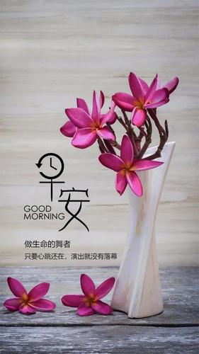 关于九月发朋友圈的说说（九月之美）