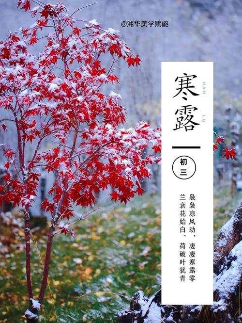 寒露的说说心情短语（25句唯美说说句子，留下秋日记忆
）