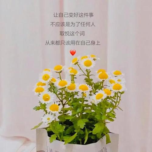 发说说美好的文字（美好的瞬间）
