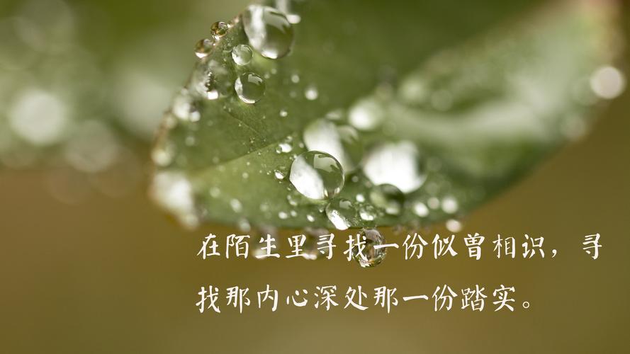 发说说美好的文字（美好的瞬间）
