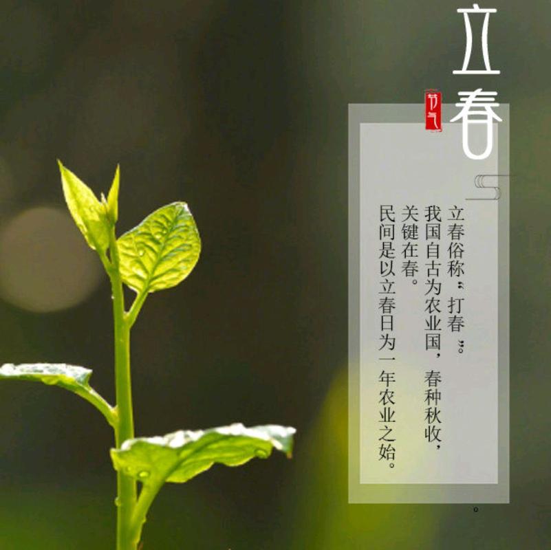 有关2023牛年立春祝福语说说的句子是（闻风而来的香味，牛年开门的喜悦
）
