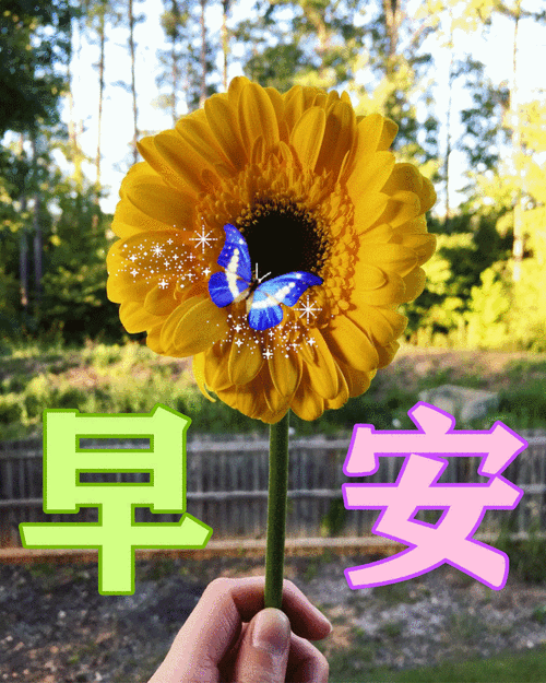 适合发朋友圈的早安说说心情句子（《美好清晨，美好生活》
）