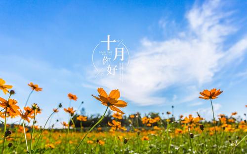 10月你好的说说（秋意渐浓，十月你好）