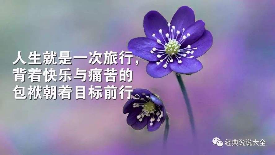 适合发朋友圈感恩的句子短句（感恩，你的美丽）