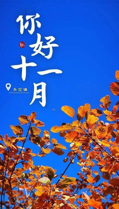 有关十月再见十一月你好说说的句子怎么写（十月再见十一月你好：唯美短句描绘时光变迁
）