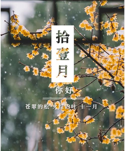 十月再见十一月你好短语（十月再见，十一月你好——一段感怀十月的短句
）