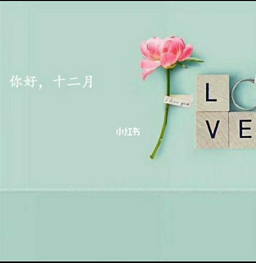 十一月你好朋友圈说说优美句子（唯美短句勾勒生活点滴，细节中寻找感动
）