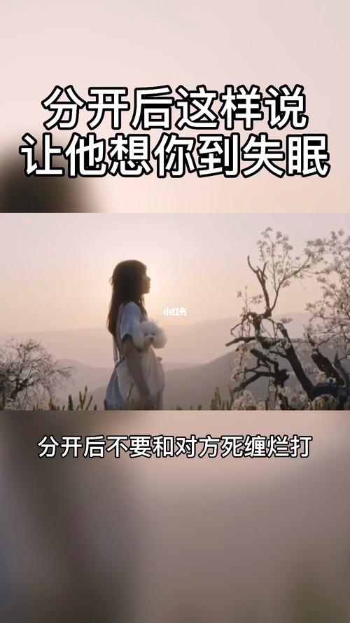 有关失眠的句子微信朋友圈的短句搞笑（失眠夜晚的孤独陪伴）