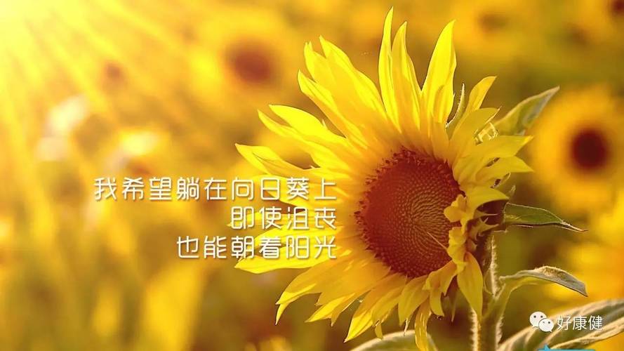 相互鼓励的名言警句（生活中的相互鼓励
）