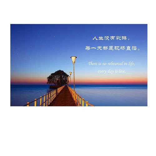 关于生活失败的句子（唯美短句带你走出失败的迷雾
）