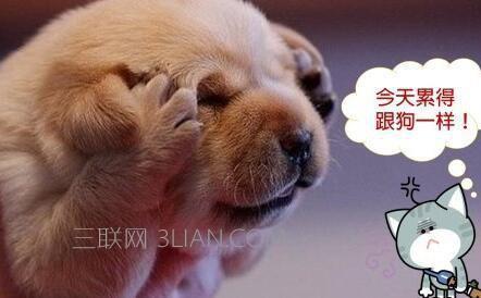 生活搞笑句子越短越好（以幽默神语讲述生活中的趣事
）