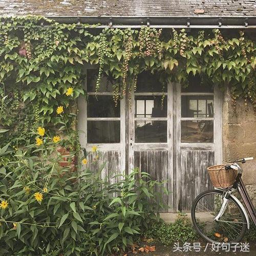 有关生活很累的经典句子的短句英语（疲惫生活的美丽）