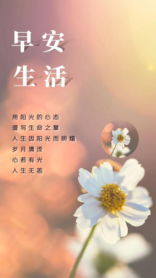 生活道理语句（用唯美的文字，感受生活的美好
）