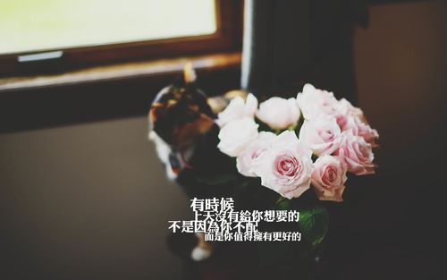 很伤感的名言（生命中的悲欢离合
）