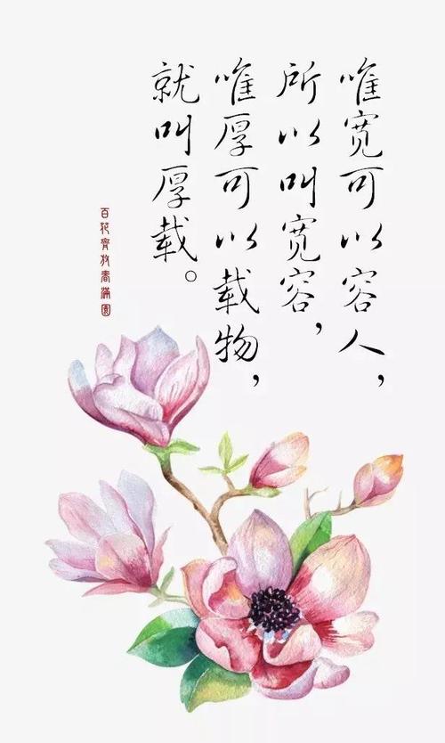 关于善良的唯美句子说说心情（善良之美）