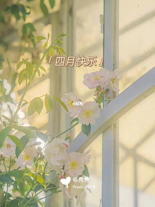 有关三月再见四月你好经典语录的短句子（《三月再见四月你好》——春日微醺
）