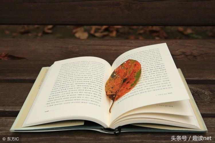 人生应该做点有意义的事句子（追求意义，创造价值）