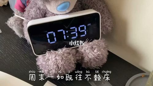 有关生活总归有压力的作文题目（《压力路上的成长》）