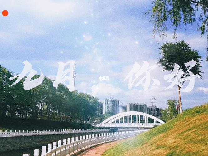 记录生活的点滴作文600（《一生一念：用点滴记录生活
》）