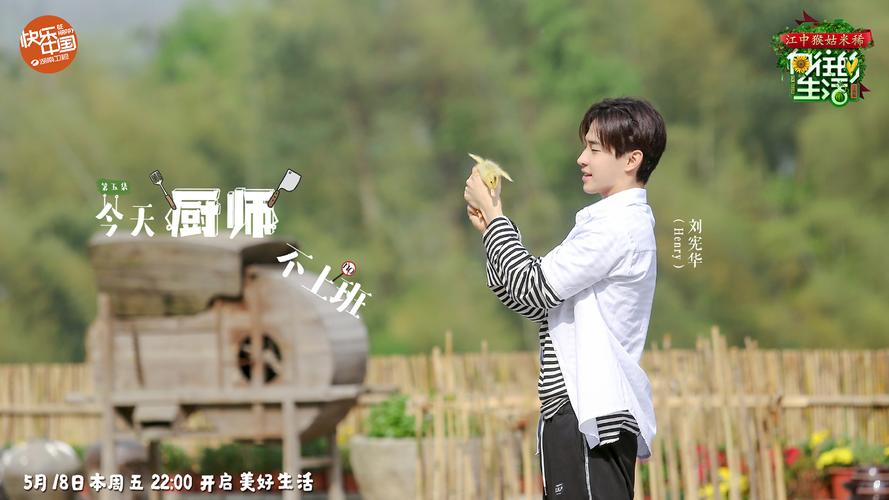 生活需要向前看议论文800字（《生活需要，向往为主
》）